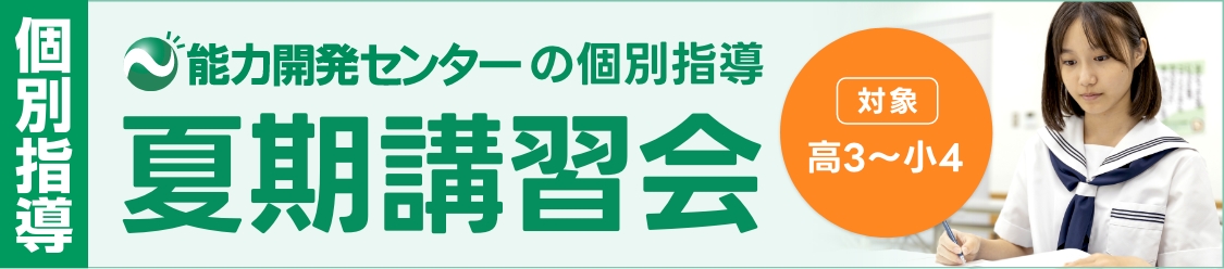 個別 夏期講習会