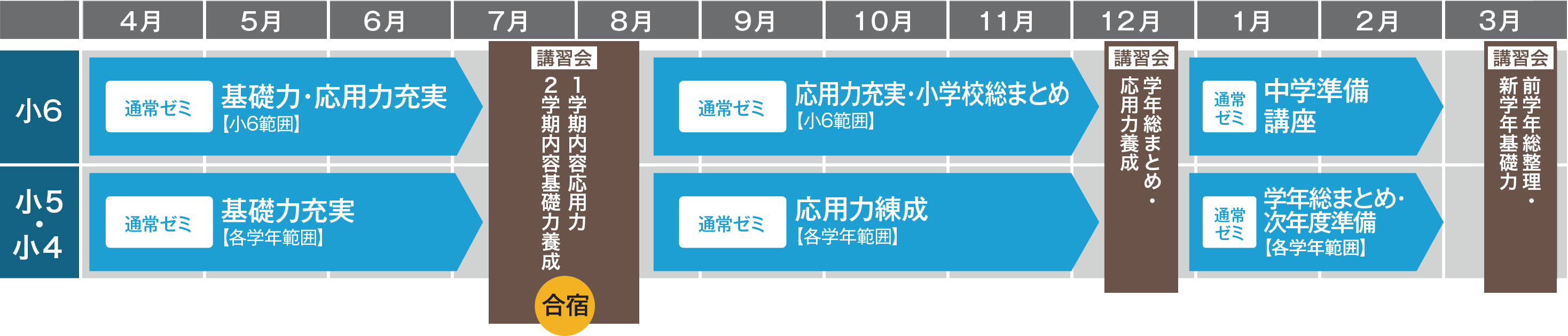 年間スケジュール